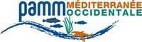 logo DIRM Méditerranée Vignette